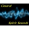 Cesaral Spirit Sounds