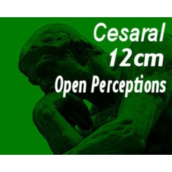 Cesaral 12cm Open Perceptions