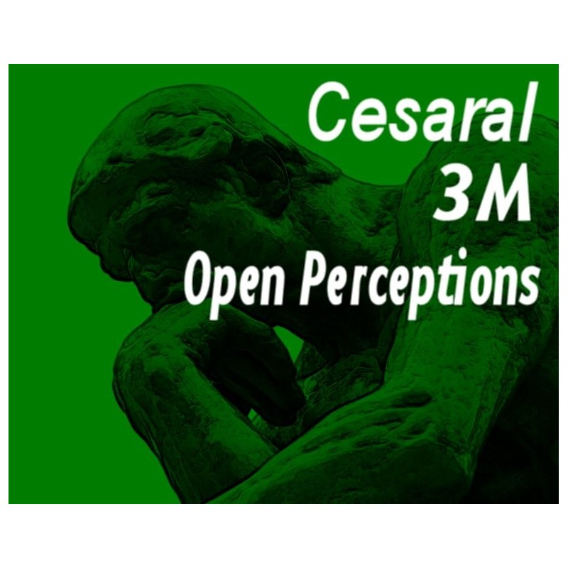 Cesaral 3M Open Perceptions