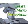 Cesaral Micro Perceptions