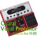 Cesaral Vocal Processor