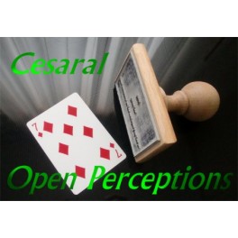 Cesaral Open Perceptions