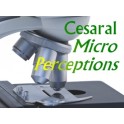Cesaral Micro Perceptions