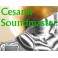 Cesaral Soundmaster
