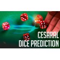 Cesaral Dice Prediction  (CDP)