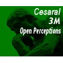Cesaral 3M Open Perceptions
