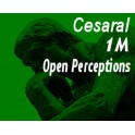 Cesaral 1M Open Perceptions